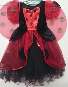 Kids Costumes to Hire - Lady Bug dress with wings - small